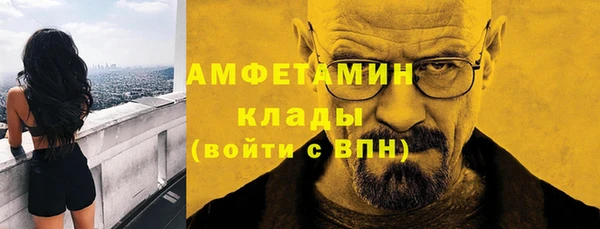 прущие грибы Горно-Алтайск