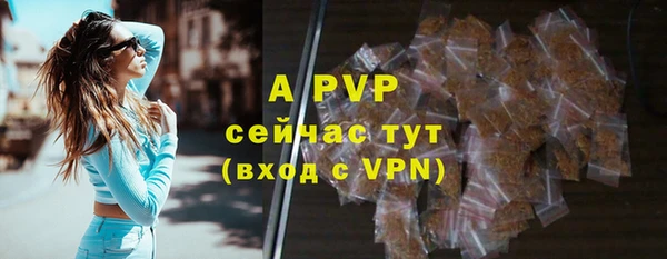 дживик Горнозаводск