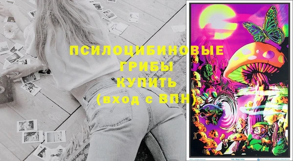 бошки Горняк