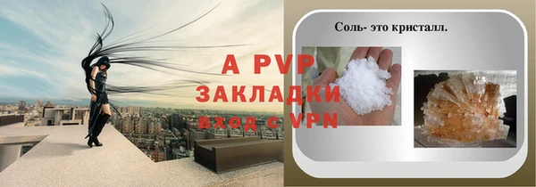прущие грибы Горно-Алтайск