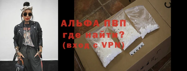 прущие грибы Горно-Алтайск