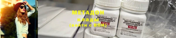 прущие грибы Горно-Алтайск