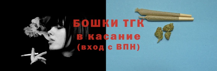 прущие грибы Горно-Алтайск