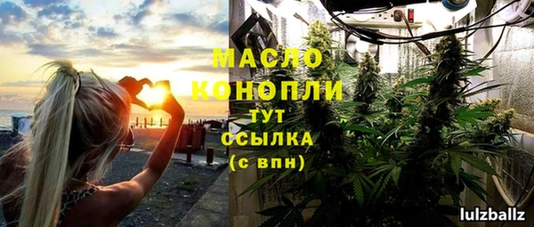 прущие грибы Горно-Алтайск