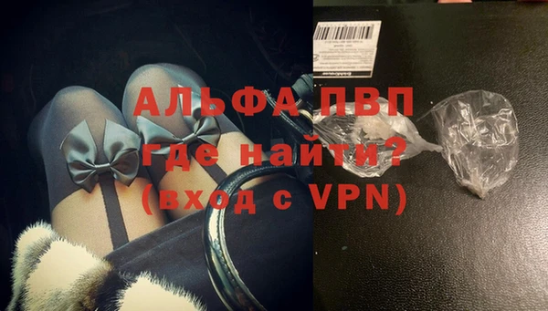 прущие грибы Горно-Алтайск