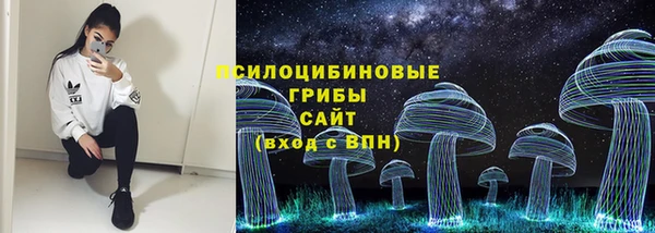 дживик Горнозаводск