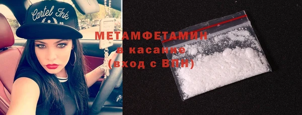 прущие грибы Горно-Алтайск