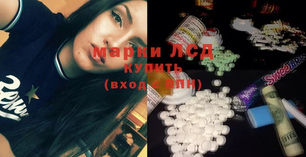 прущие грибы Горно-Алтайск