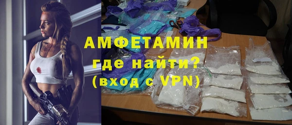 прущие грибы Горно-Алтайск