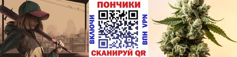 Бошки Шишки THC 21%  Купить  Княгинино 